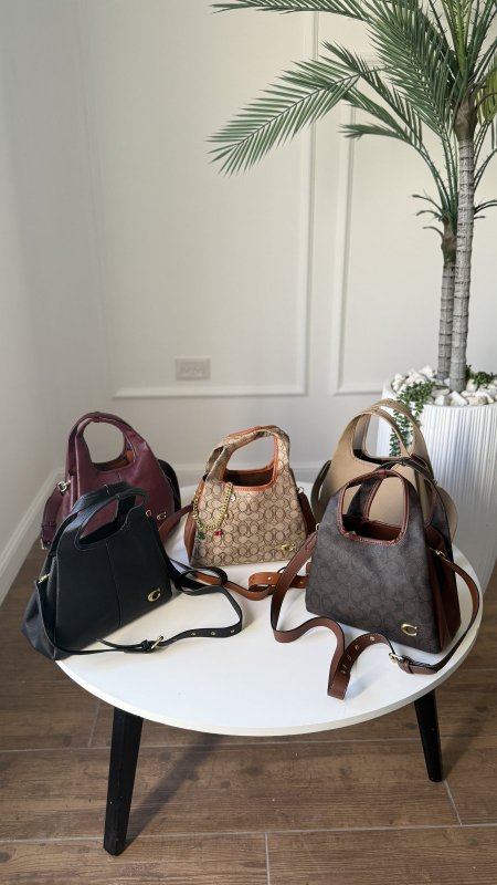 COACH — Coach LANA